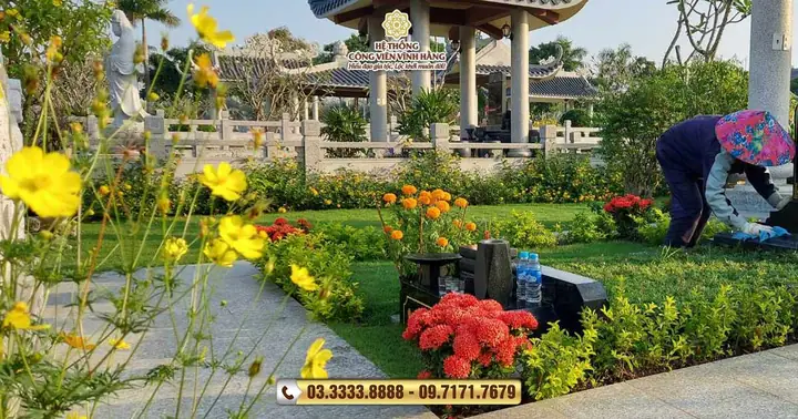 Có Nên Cúng Rau Mồng Tơi Và Rau Đay Trong 49 Ngày Không? Có Nên Cúng Rau Mồng Tơi Và Rau Đay Trong 49 Ngày Không?