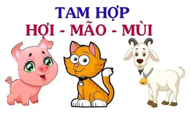 Có Cúng Sao Giải Hạn Trong Tử Vi Không? Hướng Dẫn Tra Sao Và Cúng Có Cúng Sao Giải Hạn Trong Tử Vi Không? Hướng Dẫn Tra Sao Và Cúng