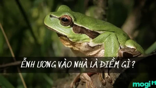 Có Điềm Là Gì? Ý Nghĩa, Dấu Hiệu Điềm Báo Lành Dữ Trong Cuộc Sống