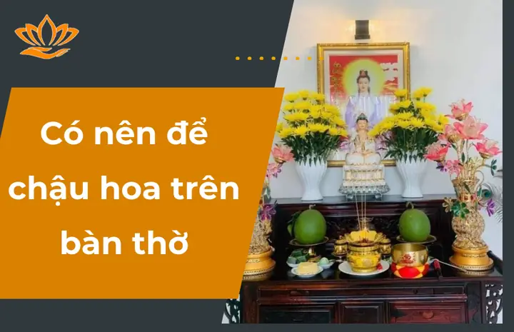 Có Nên Cúng Chậu Hoa Có Đất Trên Bàn Thờ Không? Lý Do Và Cách Thay Thế Có Nên Cúng Chậu Hoa Có Đất Trên Bàn Thờ Không? Lý Do Và Cách Thay Thế