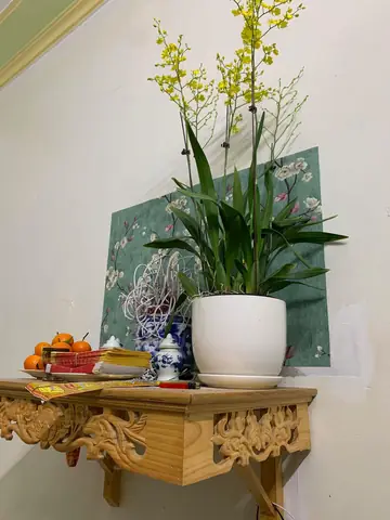 Có Nên Cúng Chậu Hoa Có Đất Trên Bàn Thờ Không? Lý Do Và Cách Thay Thế Có Nên Cúng Chậu Hoa Có Đất Trên Bàn Thờ Không? Lý Do Và Cách Thay Thế