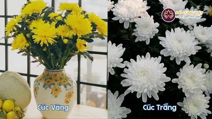 Có Nên Cúng Hoa Huệ Ngày Rằm? Khi Nên Dùng Và Khi Nên Tránh Có Nên Cúng Hoa Huệ Ngày Rằm? Khi Nên Dùng Và Khi Nên Tránh