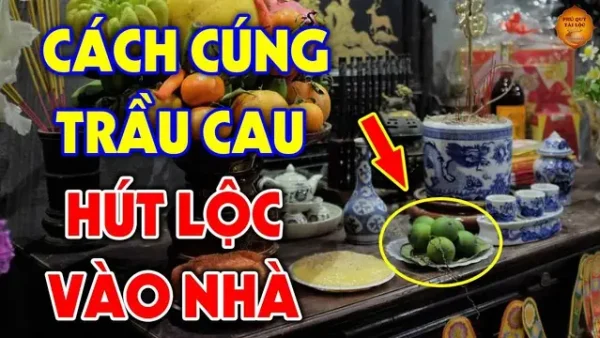 Có Nên Cúng Trầu Cau Ngày Tết? Số Lượng, Cách Chọn Và Cách Đặt