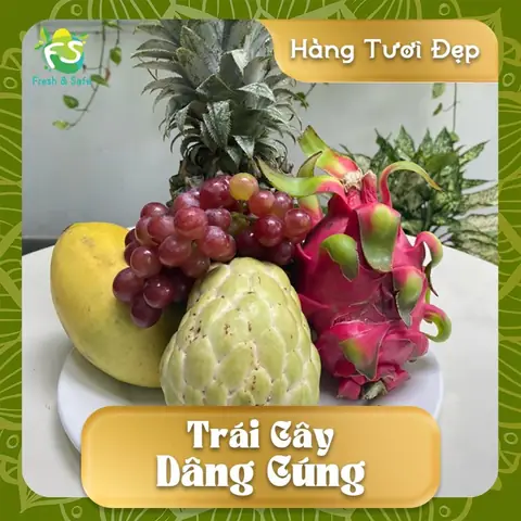 Combo Cúng Trái Cây: Hướng Dẫn Chọn Mua, Bày Trí Chuẩn Ý Nghĩa Theo Từng Dịp Lễ Combo Cúng Trái Cây: Hướng Dẫn Chọn Mua, Bày Trí Chuẩn Ý Nghĩa Theo Từng Dịp Lễ