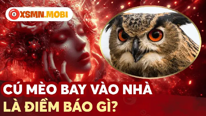 Góc Nhìn Khoa Học Và Sinh Học Về Hiện Tượng Chim Cú Mèo Đến Gần Khu Vực Nhà Ở