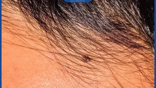 Cúng 3 Đầu Ruồi Là Gì? Ý Nghĩa, Lễ Vật, Văn Khấn Và Hướng Dẫn Thực Hiện