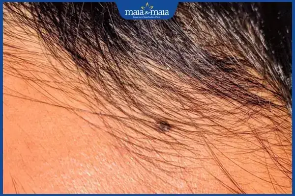 Cúng 3 Đầu Ruồi Là Gì? Ý Nghĩa, Lễ Vật, Văn Khấn Và Hướng Dẫn Thực Hiện