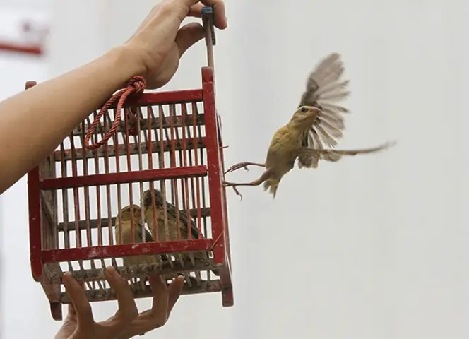 Cách Cúng Người Thân Đã Mất Trong Tháng 7 Âm: Lễ Vật, Nghi Thức Và Các Bước Thực Hiện