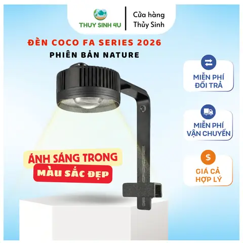 Giải Mã Cúng Dường Ánh Sáng Trong Kinh Phạm Âm: 10 Lợi Ích, Ý Nghĩa, Bài Cầu Nguyện & Cách Thức Thực Hành Chuẩn Chỉ