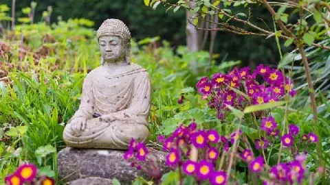 Cúng Dường Chư Tăng Nguyên Thủy: Ý Nghĩa, Thờ Cúng Đúng Pháp Và Công Đức Theo Kinh Điển