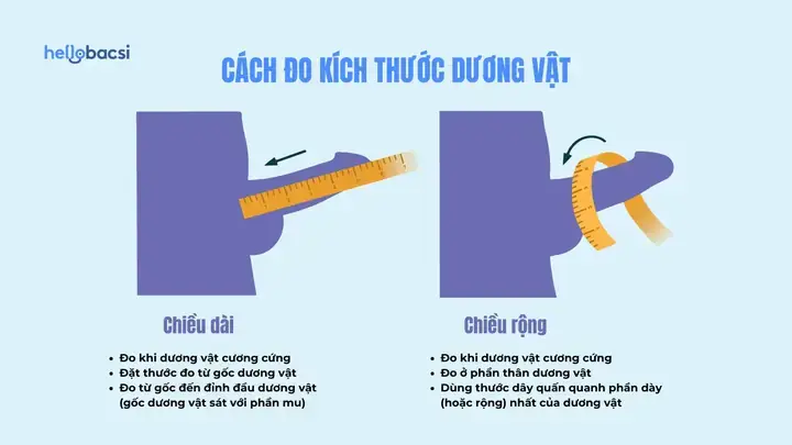 Cúng Dường Dùng Dương Vật (linga) Là Gì? Ý Nghĩa, Nghi Thức Thần Giáo & Di Sản Chăm Pa Tại Việt Nam Cúng Dường Dùng Dương Vật (linga) Là Gì? Ý Nghĩa, Nghi Thức Thần Giáo & Di Sản Chăm Pa Tại Việt Nam