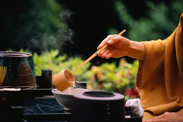 Hướng Dẫn Cúng Dường Hoa Sen Đúng Nghi Thức: Ý Nghĩa, Loài Hoa, Cách Chọn Và Lễ Nghi Toàn Diện