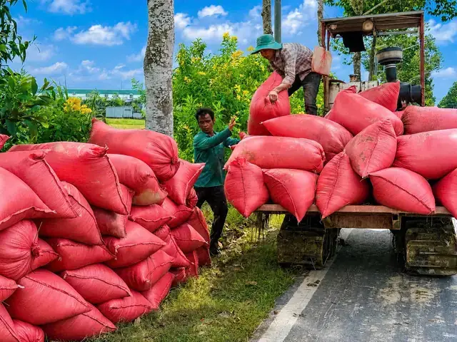 Cúng Dường Miền Tây Là Gì? Ý Nghĩa, Nghi Thức Và Mối Liên Hệ Đặc Biệt Với Chú Tiểu