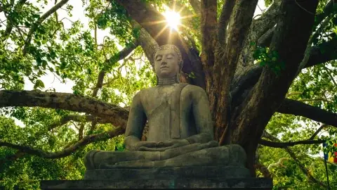Cúng Dường Vàng Chư Phật Là Gì? Ý Nghĩa, Văn Khấn Và Cách Làm Lễ Đúng Pháp Cúng Dường Vàng Chư Phật Là Gì? Ý Nghĩa, Văn Khấn Và Cách Làm Lễ Đúng Pháp