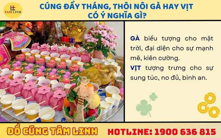 Nên Cúng Gà Hay Vịt Trong Lễ Cúng Mụ, Thôi Nôi Và Khai Trương? Nên Cúng Gà Hay Vịt Trong Lễ Cúng Mụ, Thôi Nôi Và Khai Trương?