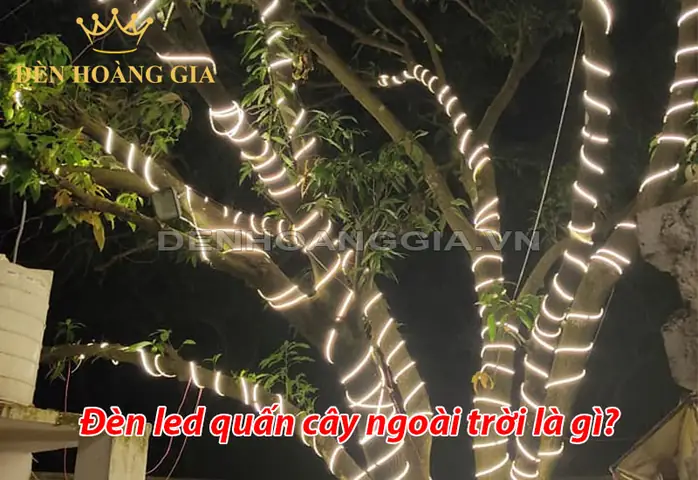 Cúng Gốc Cây Ngoài Trời: Ý Nghĩa Tâm Linh, Lễ Vật Và Bài Văn Khấn Chuẩn Phong Tục Cúng Gốc Cây Ngoài Trời: Ý Nghĩa Tâm Linh, Lễ Vật Và Bài Văn Khấn Chuẩn Phong Tục