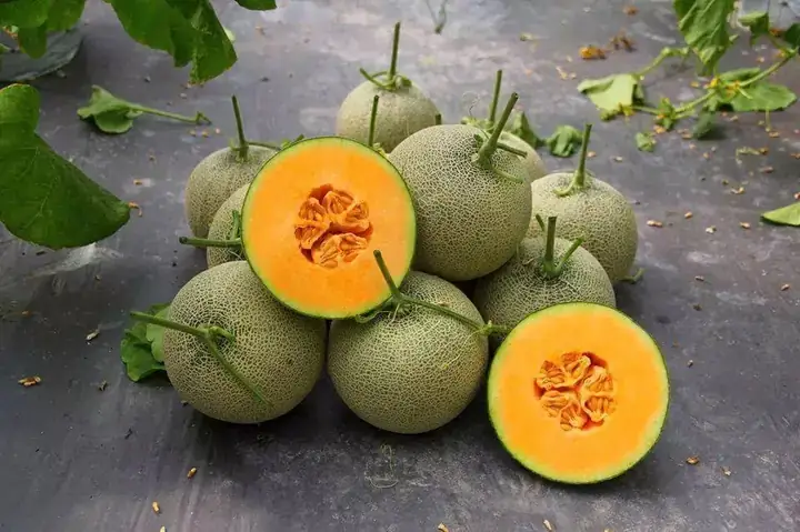 Cúng Hè Hay Cúng Bội: Ý Nghĩa, Thời Gian, Cách Làm Chuẩn & Văn Khấn Day Du (cho Vòng Tang & Thường Niên) Cúng Hè Hay Cúng Bội: Ý Nghĩa, Thời Gian, Cách Làm Chuẩn & Văn Khấn Day Du (cho Vòng Tang & Thường Niên)