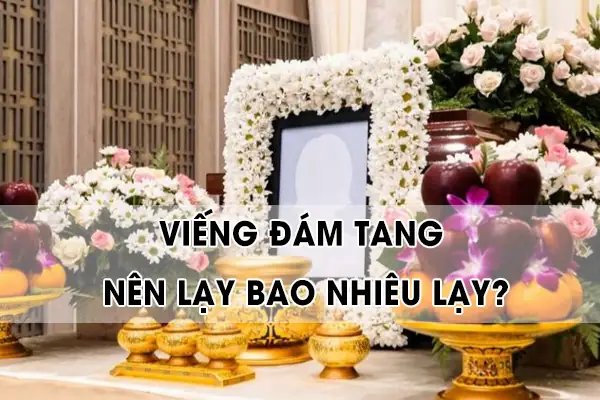 Hướng Dẫn Chi Tiết Cách Cúng Lạy, Vái Lạy Đúng Nghi Thức: Quy Trình, Tư Thế, Số Lần Và Lưu Ý Quan Trọng Hướng Dẫn Chi Tiết Cách Cúng Lạy, Vái Lạy Đúng Nghi Thức: Quy Trình, Tư Thế, Số Lần Và Lưu Ý Quan Trọng