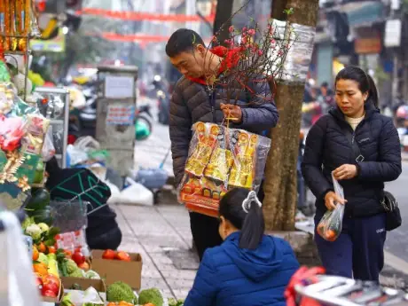 Hướng Dẫn Đặt Mâm Cúng Ông Công Ông Táo Đúng Vị Trí: Bàn Thờ Hay Bếp? (chuẩn Phong Thủy & Truyền Thống)