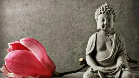Cúng Quảy Là Gì? Giải Thích Nghĩa, Nguồn Gốc, Và Cách Dùng Từ "quảy/quẩy" Đúng Ngữ Cảnh Cúng Quảy Là Gì? Giải Thích Nghĩa, Nguồn Gốc, Và Cách Dùng Từ "quảy/quẩy" Đúng Ngữ Cảnh