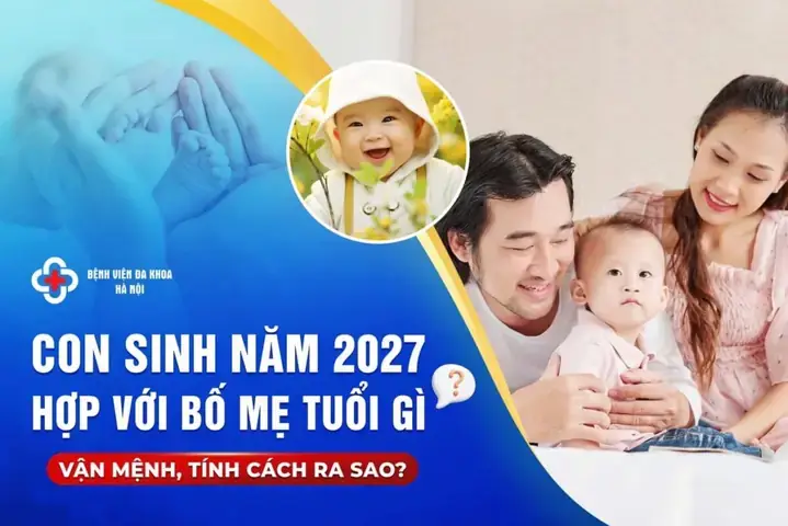 Hướng Dẫn Cúng Sao Tuổi Ngọ 2027 Chi Tiết: Xem Sao Chiếu Mệnh & Quy Trình Giải Hạn Theo Từng Niên Khóa
