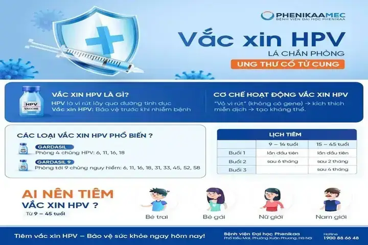 Cúng Sớt Bát Bao Nhiêu Tiền Là Hợp Lý? Giải Đáp Theo Phật Pháp & Số Tham Khảo Thực Tế Cúng Sớt Bát Bao Nhiêu Tiền Là Hợp Lý? Giải Đáp Theo Phật Pháp & Số Tham Khảo Thực Tế