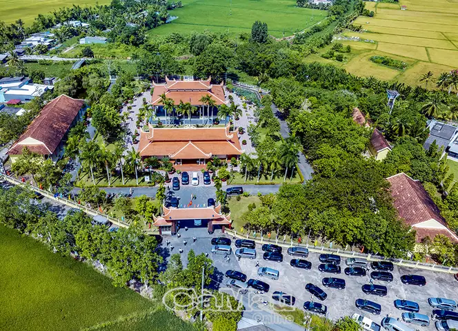 Cúng Tạ Ơn Bác Hồ Là Gì? Cách Chuẩn Nhất Từ A-Z Cho Người Mới