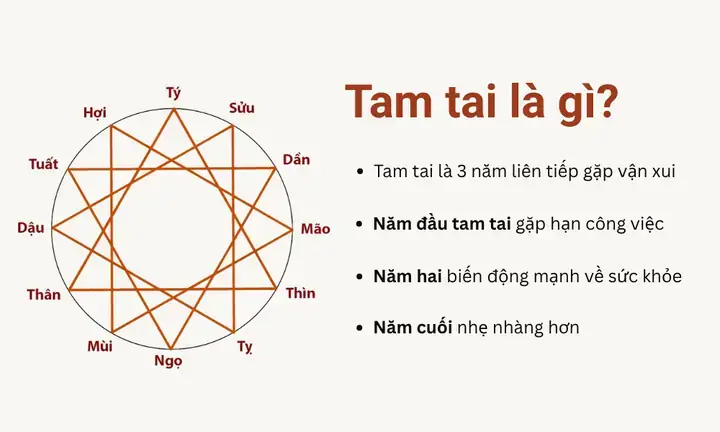 Cúng Tam Tai 2027 Tuổi Tân Dậu: Nghĩa Là Gì, Cách Cúng Đúng Chuẩn Và Lưu Ý Quan Trọng