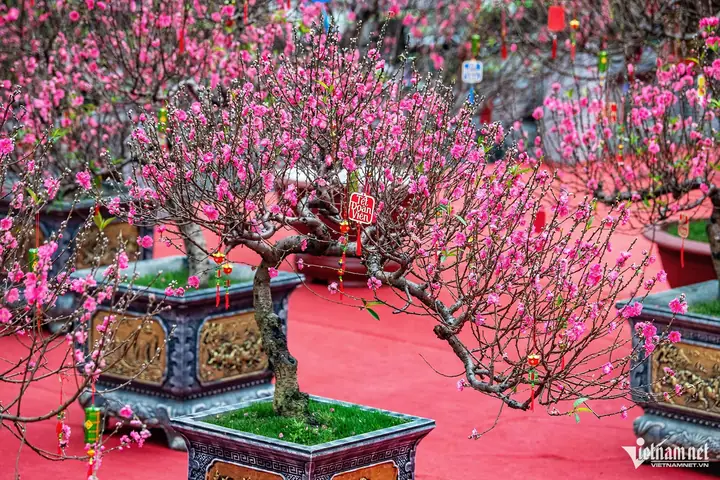 Hướng Dẫn Cúng Tết Giữa Năm (đoan Ngọ) Đầy Đủ: Chuẩn Bị Mâm Cúng, Nghi Thức, Văn Khấn Và Lưu Ý Quan Trọng Hướng Dẫn Cúng Tết Giữa Năm (đoan Ngọ) Đầy Đủ: Chuẩn Bị Mâm Cúng, Nghi Thức, Văn Khấn Và Lưu Ý Quan Trọng
