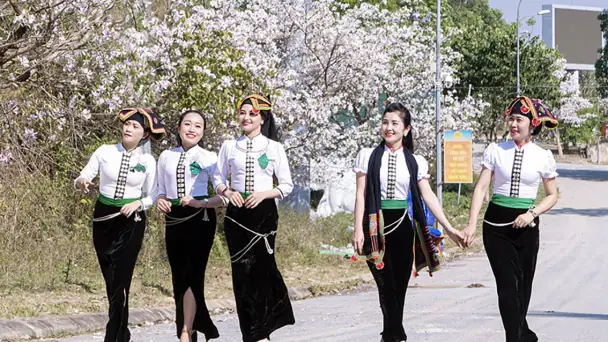 Cúng Thóc 7 Ngày Là Gì? Ý Nghĩa, Nghi Thức Và Giá Trị Văn Hóa Trong Tâm Lý Người Việt