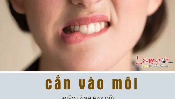 Đang Ăn Cắn Vào Miệng Là Điềm Gì? Giải Mã Chi Tiết Hiện Tượng Tâm Linh Và Góc Nhìn Khoa Học