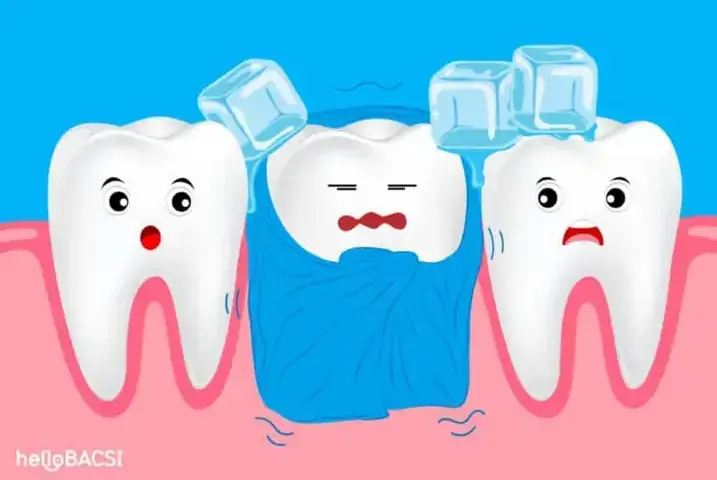 Đau Răng Báo Hiệu Những Bệnh Lý Răng Miệng Phổ Biến Nào? Đau Răng Báo Hiệu Những Bệnh Lý Răng Miệng Phổ Biến Nào?