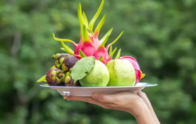 Cách Chọn Mua Đĩa Trái Cây Cúng Phật: Chất Liệu, Kích Thước Và Lưu Ý Tâm Linh Cách Chọn Mua Đĩa Trái Cây Cúng Phật: Chất Liệu, Kích Thước Và Lưu Ý Tâm Linh