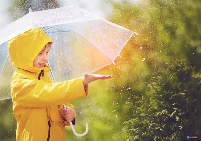 Đi Chơi Thấy Trời Mưa Có Điềm Báo Gì? Giải Mã Ý Nghĩa Tốt Xấu Theo Tâm Linh