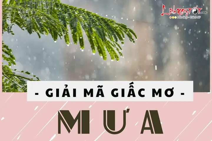Mưa Rào Bất Chợt Đến Nhanh Đòi Hỏi Sự Linh Hoạt Trong Kế Hoạch Đi Chơi.