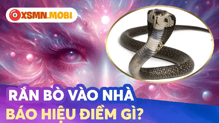 Ý Nghĩa Tâm Linh Khi Gặp Rắn Bò Theo Sau, Rượt Đuổi Hoặc Gặp Rắn Chết