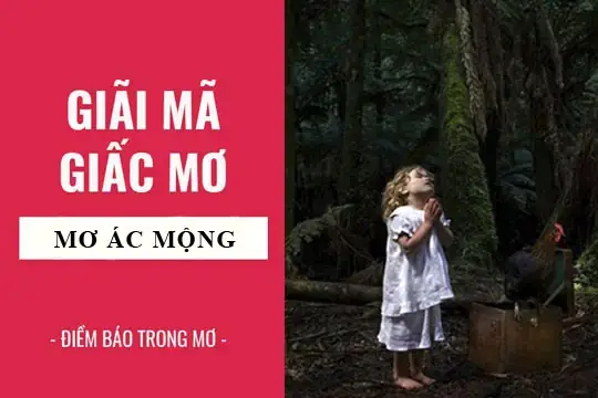 Nguyên Nhân Cốt Lõi Khiến Con Người Thường Xuyên Gặp Phải Ác Mộng Là Gì? Nguyên Nhân Cốt Lõi Khiến Con Người Thường Xuyên Gặp Phải Ác Mộng Là Gì?
