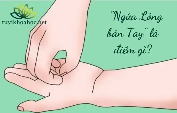 Côn Trùng Hoặc Động Vật Lạ Bay Vào Nhà Có Phải Là Điềm Báo May Mắn? Côn Trùng Hoặc Động Vật Lạ Bay Vào Nhà Có Phải Là Điềm Báo May Mắn?