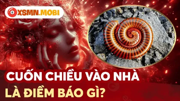 Điềm Báo Có Con Sâu Bò Vào Người Là Điềm Gì, Tốt Hay Xấu Và Cách Hóa Giải