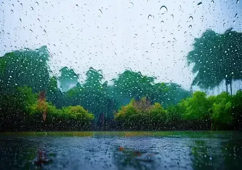 Giải Mã Điềm Báo Của Trời Mưa: Ý Nghĩa Tốt Xấu Và Các Dấu Hiệu Tự Nhiên
