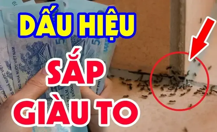 Đồ Vật Gãy Vỡ Trong Nhà Là Dấu Hiệu Cảnh Báo Năng Lượng Bất Ổn. Đồ Vật Gãy Vỡ Trong Nhà Là Dấu Hiệu Cảnh Báo Năng Lượng Bất Ổn.
