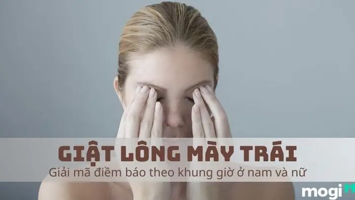 Góc Nhìn Phong Thủy Và Nhân Tướng Học Đánh Giá Điềm Báo Này Ra Sao? Góc Nhìn Phong Thủy Và Nhân Tướng Học Đánh Giá Điềm Báo Này Ra Sao?