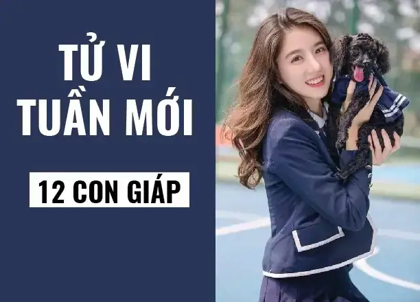 Họa Huyết Quang Là Gì Trong Quan Niệm Tử Vi Phong Thủy? Họa Huyết Quang Là Gì Trong Quan Niệm Tử Vi Phong Thủy?