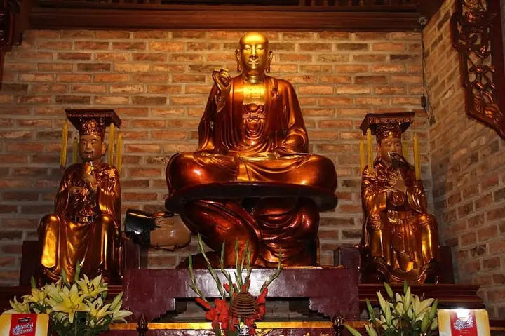 Các Loài Cây Cảnh Nào Khi Ra Hoa Đòi Hỏi Gia Chủ Cần Xem Xét Lại Không Gian Sống? Các Loài Cây Cảnh Nào Khi Ra Hoa Đòi Hỏi Gia Chủ Cần Xem Xét Lại Không Gian Sống?