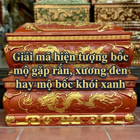 Điềm Báo Khi Gặp Rắn Màu Đen Là Gì? Giải Mã Hên Hay Xui Và Cách Xử Lý