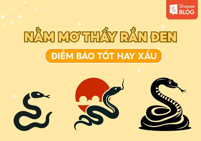 Gặp Rắn Màu Đen Là Điềm Báo Tốt Hay Xấu Theo Quan Niệm Dân Gian?