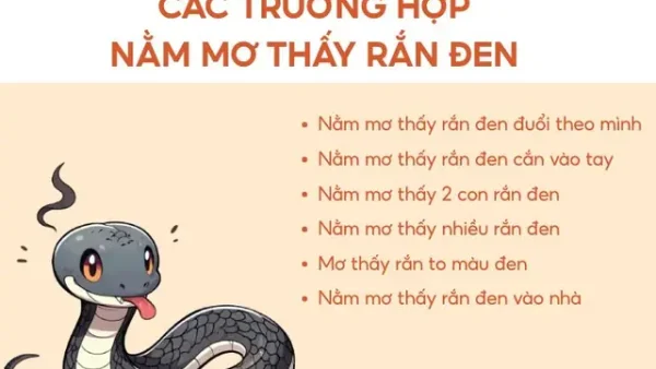 Điềm Báo Khi Gặp Rắn Màu Đen Là Gì? Giải Mã Hên Hay Xui Và Cách Xử Lý