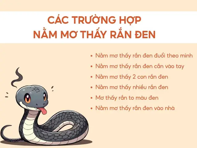 Điềm Báo Khi Gặp Rắn Màu Đen Là Gì? Giải Mã Hên Hay Xui Và Cách Xử Lý