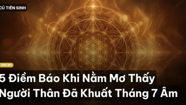 Giải Mã Chi Tiết Điềm Báo Khi Mơ Thấy Người Thân Chết Có Máu Và Ý Nghĩa Tâm Linh