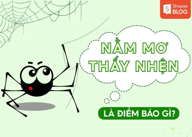 Thấy Nhện Chết Liên Tục Trong Nhà Có Phải Dấu Hiệu Cần Lưu Ý Về Môi Trường Sống? Thấy Nhện Chết Liên Tục Trong Nhà Có Phải Dấu Hiệu Cần Lưu Ý Về Môi Trường Sống?
